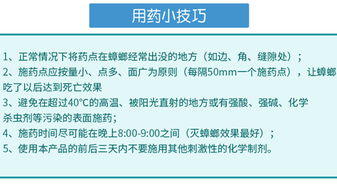 食品工廠(chǎng)如何徹底消滅蟑螂？專(zhuān)家分享實(shí)用方法與運(yùn)營(yíng)策略